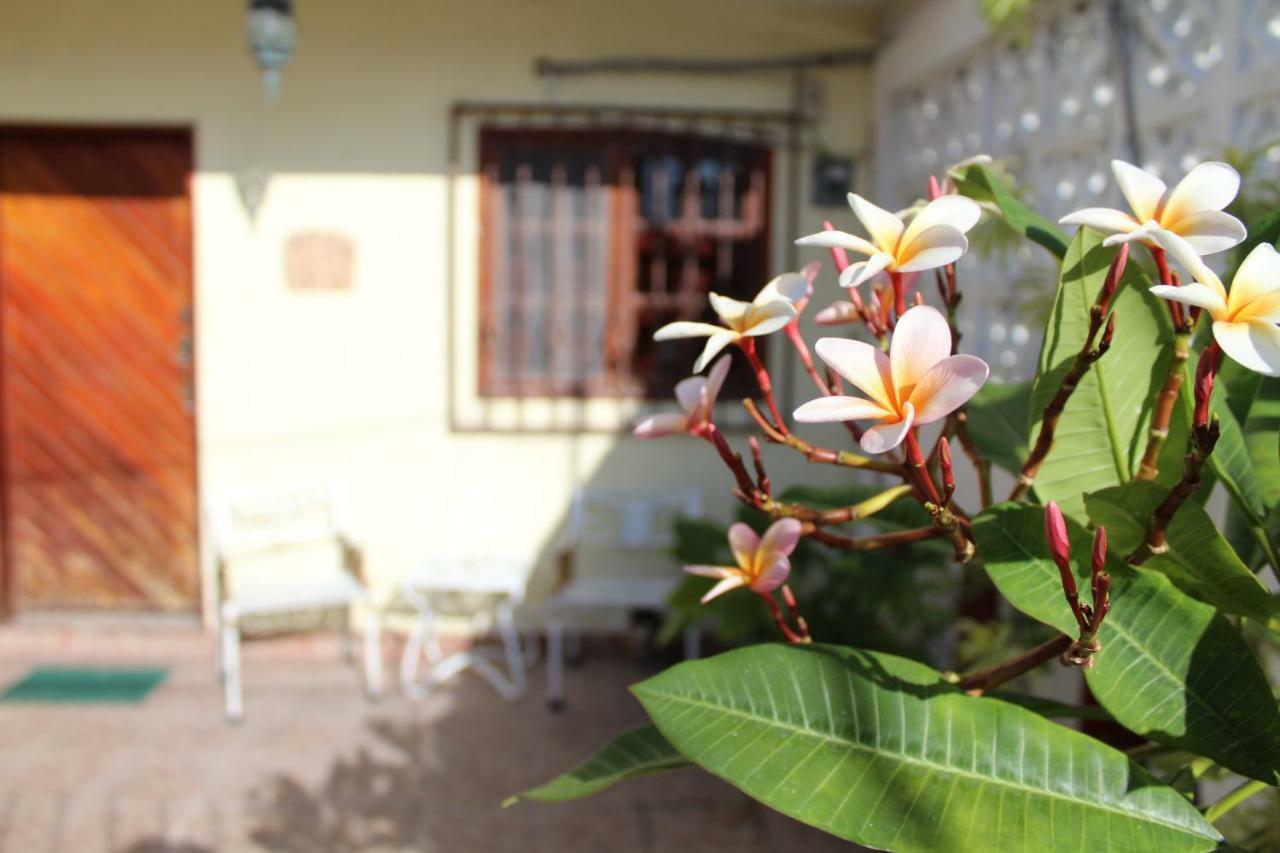 Cancun Guest House ภายนอก รูปภาพ
